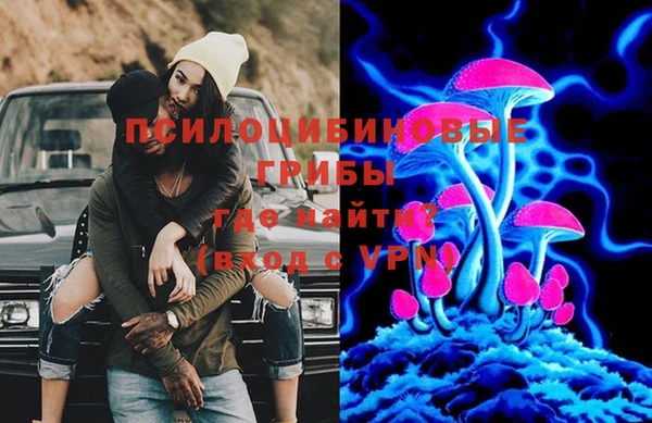 гашик Алексин