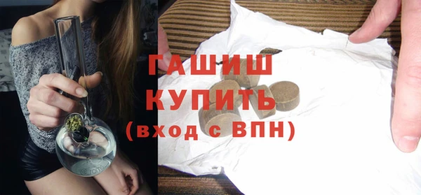 гашик Алексин