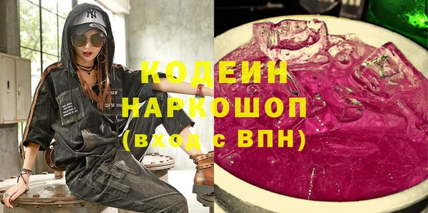 гашик Алексин