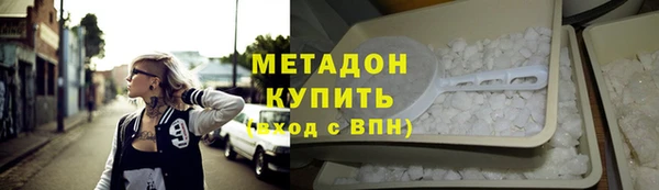 гашик Алексин