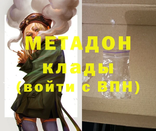 гашик Алексин