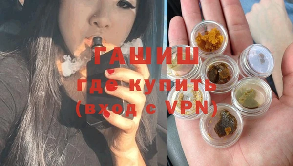 гашик Алексин