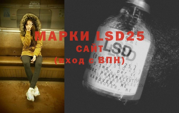 гашик Алексин