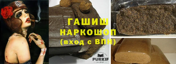 гашик Алексин
