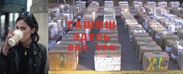 гашик Алексин