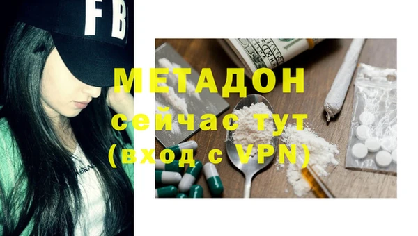 гашик Алексин