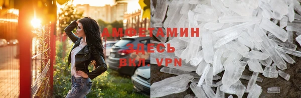 гашик Алексин
