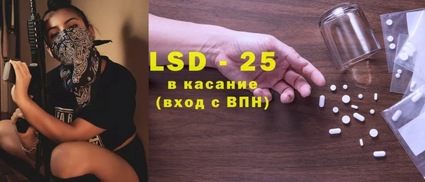 гашик Алексин