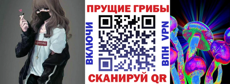кракен маркетплейс  Любим  Галлюциногенные грибы прущие грибы 